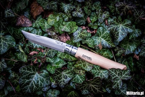 Opinel No. 12 inox