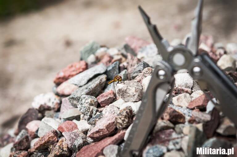 Multitool Leatherman Charge TTi i ważka leatherman charge TTi