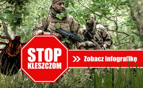 kleszcze, jak się przed nimi bronić, infografika